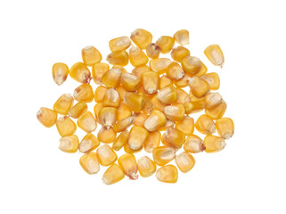 Fototapeta premium yellow corn grain 