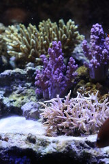 water world aquarium