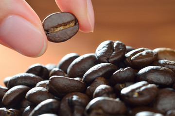 Closeup on hand picking a coffee bean