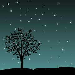 Tree and night landscape