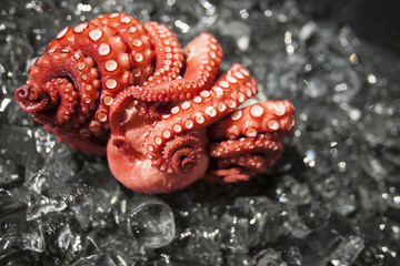 Octopus Tentacles on ice ready to eat.