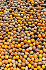 Colorful betel nut