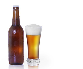 beer isolated on white