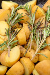 Roast potatoes and Rosmary herbs