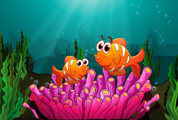 Twee vissen boven een roze koraal
