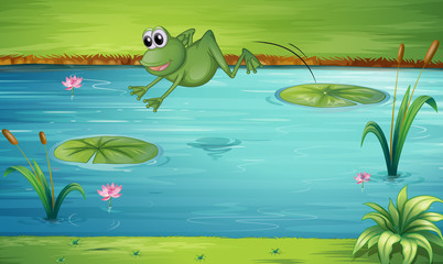 Naklejka premium A frog jumping