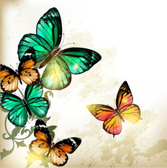 Fashion background with butterflies
