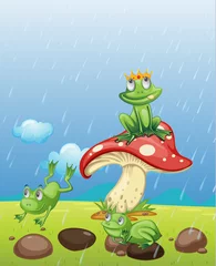 Poster Im Rahmen Frösche spielen im Regen © GraphicsRF