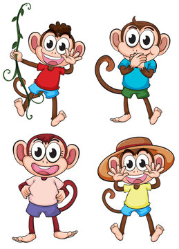 Four giggling monkeys
