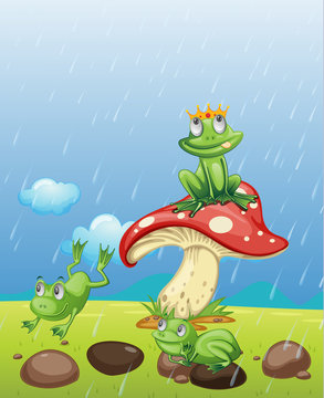 Frogs playing in the rain