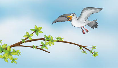 A flying bird