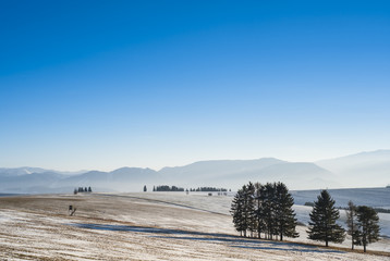 winter fields