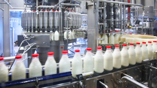 fresh milk poured into bottles,