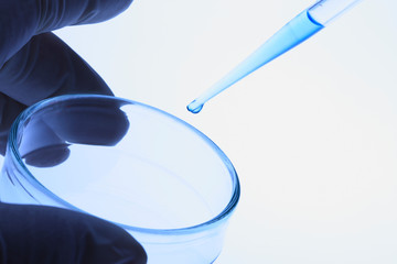 シャーレとスポイド