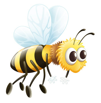 A bee