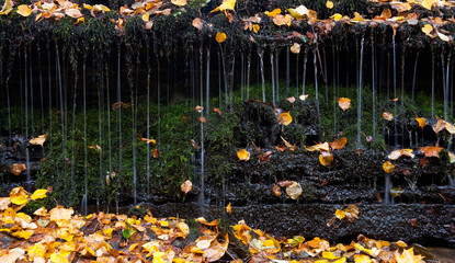 Obraz premium Falling water between autumn leaves