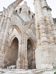Gothics ruins