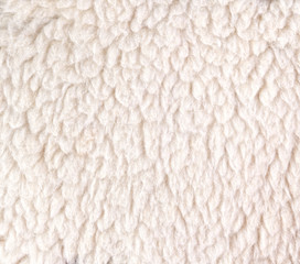 white woolly sheep fleece for background texture