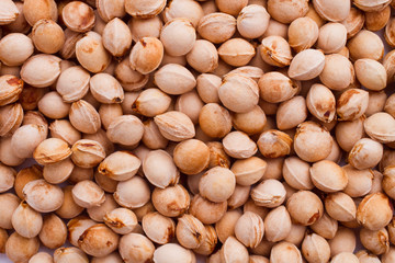 a heap of sour cherry pits - background