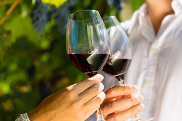 Woman and man in vineyard drinking wine