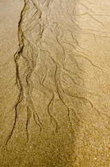 Aqueduct on sandy beach