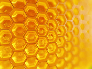 Fragment of Honeycomb
