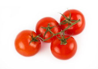 Tomato vegetables on white background