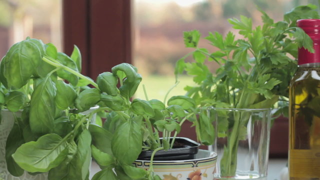 Fresh herbs in the kitchen, tracking shot