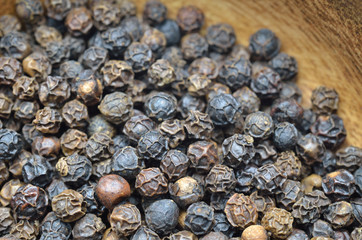 黒胡椒　木製　容器