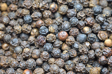 ブラックペッパー　一面