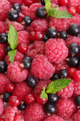 ripe berries with mint, close up.