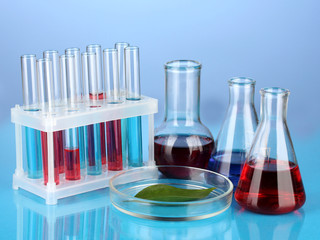 Test-tubes and green leaf tested in petri dish,