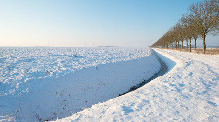 Fototapeta na wymiar Field with trees covered in snow