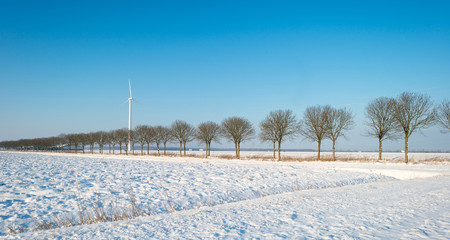 Field with trees covered in snow