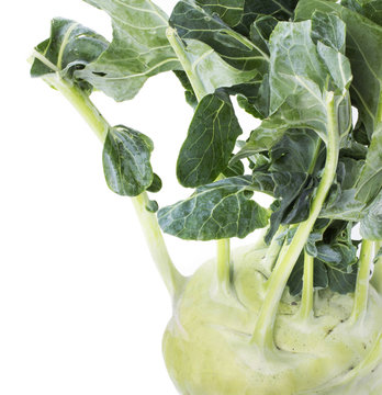 Kohlrabi