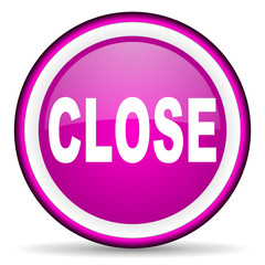 close violet glossy icon on white background
