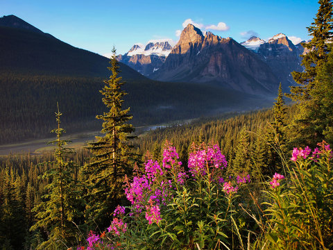 Landscape with Rocky Mountains at sunset, Alberta, Canada