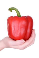 Hand holding red pepper