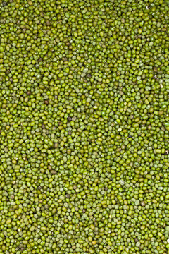 close up green bean