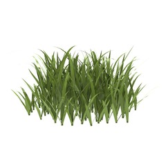 touffe natural
