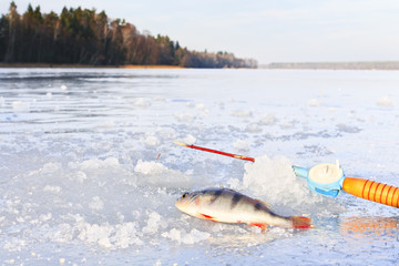 Winter fishing on ice