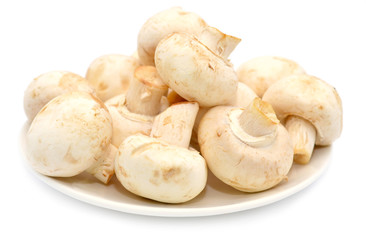 mushrooms on white