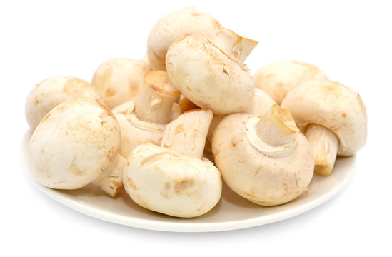mushrooms on white