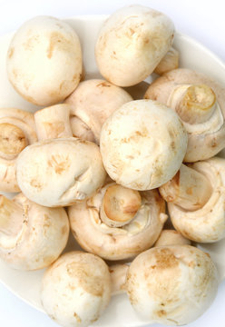 mushrooms on white plate