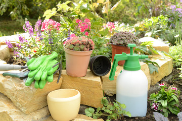 Garten 14