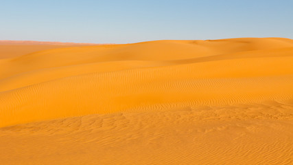 Sahara Desert Dune