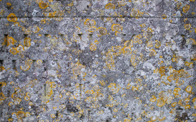 Gravestone detail with lichens