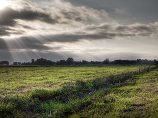Fototapeta na wymiar Trench w agricultrural polu trawy