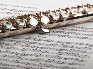 flute and notes - 48575081
