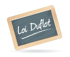 Obraz premium la loi duflot